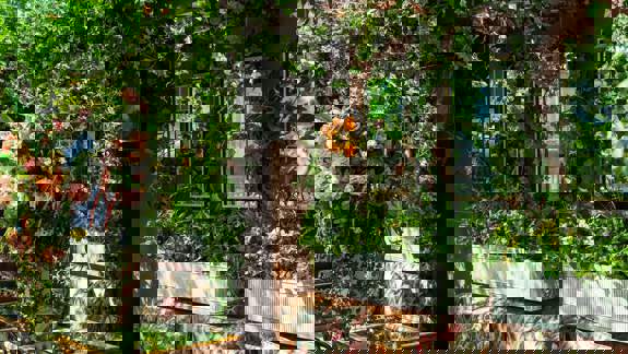 Lush rooftop lounge with floral seating, hanging greenery, mirrored walls, and natural light from a glass roof. Bright, plant-filled, and vibrant.