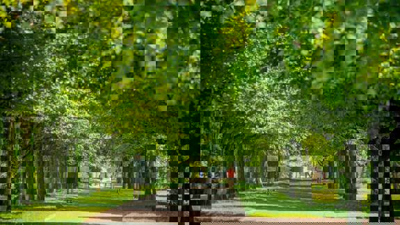 A tree-lined path in Glasgow Green on a sunny day, with dappled sunlight filtering through the dense green canopy, and people walking and running.