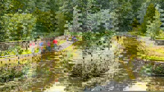 A group of cyclists riding along a path next to a canal with green trees and bushes lining the banks.