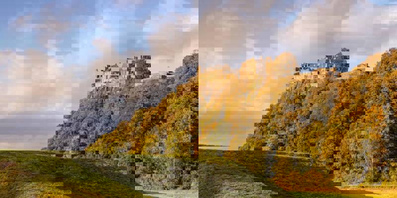 Stirling Castle sits majestically on a hilltop, surrounded by golden autumn foliage and a grassy mound in the foreground.