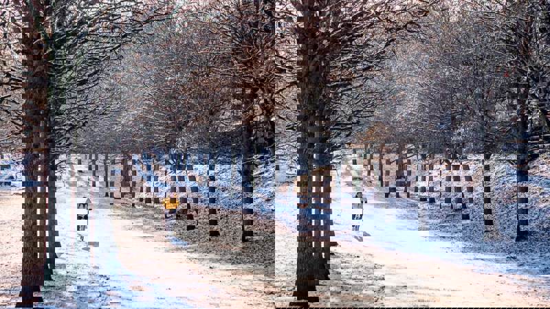 A cyclist in a yellow jacket rides along a snow-covered path lined with bare trees in Kelvingrove Park.