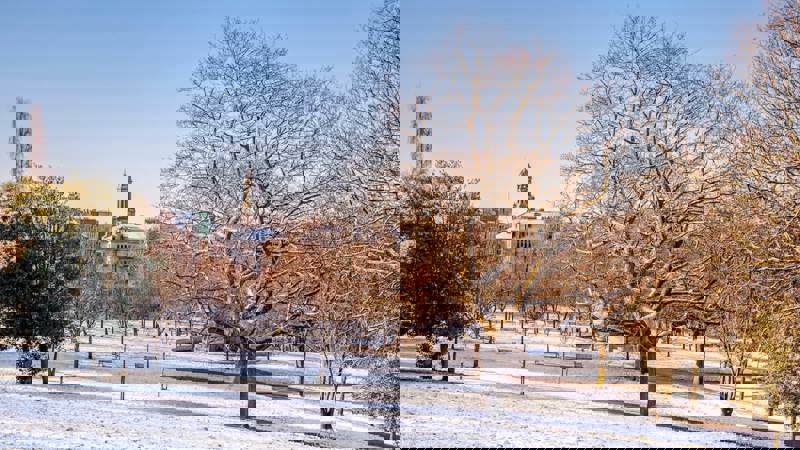 A landscape shot of an empty Kelvingrove Park. The ground is blanketed with snow and the trees are bare. City buildings can be seen in the distance.