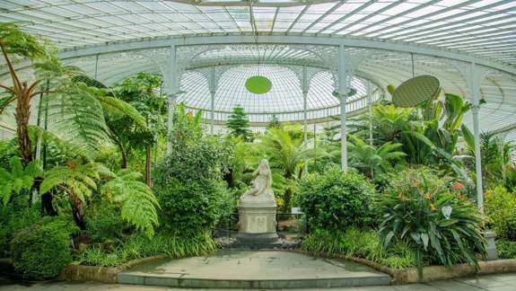 A lush indoor garden with tropical plants and a white statue under a glass dome.