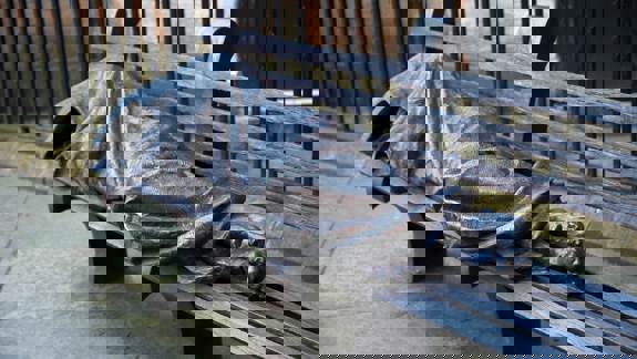 A bronze sculpture, "Homeless Jesus," depicts a figure covered in a blanket, lying on a park bench with only its pierced feet visible.