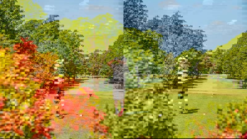 A golfer in a grey and black shirt hits a ball on a lush, green course surrounded by trees under a bright blue sky.