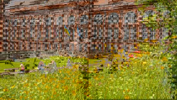 Students sit on picnic benches in a garden filled with yellow wildflowers, in front of a large red brick building.