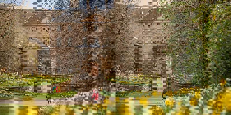 The front of Pollok House, a stately home, with a garden in the foreground featuring daffodils and a person walking a dog.