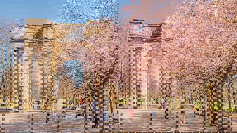 A stone archway surrounded by blooming cherry blossom trees with people walking and taking photos.