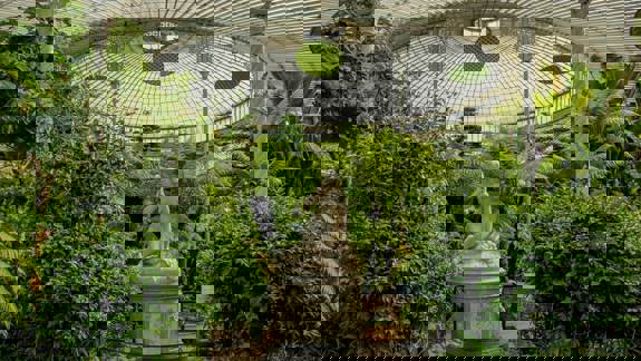 A classical white statue of a reclining figure nestled among lush green plants inside a large glasshouse.