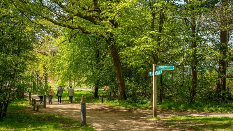 A group of people are walking a sunlit path through a green forest in Pollok Country Park.
