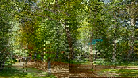 A group of people are walking a sunlit path through a green forest in Pollok Country Park.