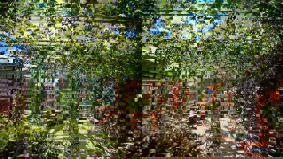 A bold and opulent bar with deep red velvet furnishings, gold-framed mirrors, heavy drapery, and ornate chandeliers, evoking a sense of theatrical luxury.