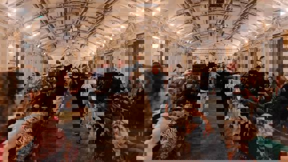 A large group of people holding hands in two lines, participating in a lively Scottish ceilidh dance in a grand hall with ornate ceilings.