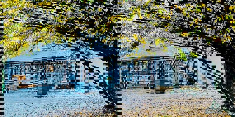 A café with outdoor seating under a large tree with yellow autumn leaves.