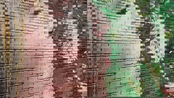 Mural on a brick wall showing a person's profile blowing dandelion seeds against a green background.