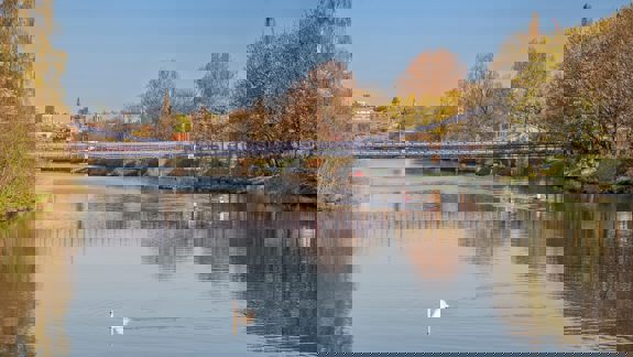 The tranquil River Clyde with a suspension bridge, trees on both banks, and a single swan gliding on the water.