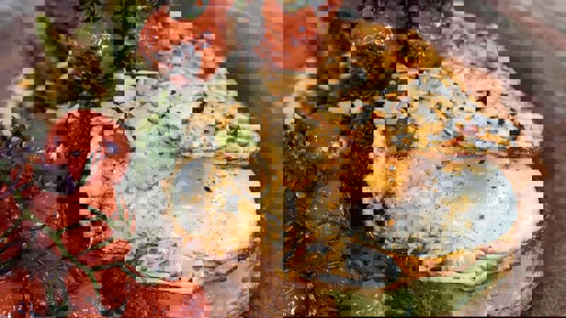 Close-up of a colourful dish with a fried egg, avocado toast, roasted tomatoes, and greens.