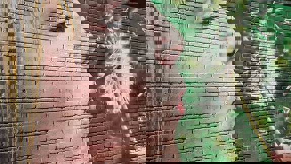 A mural of a woman's face and shoulder is on a brick wall, with the other half of the wall painted green with white dandelions.