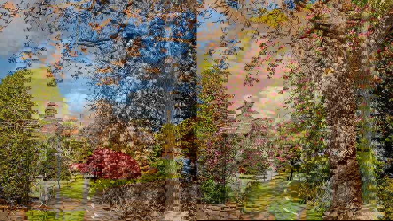 A view of a beautiful park with a curved path, lush trees and a greenhouse in the background.