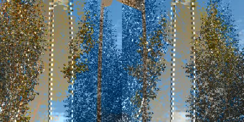 A tall, abstract metal sculpture resembling a safety pin stands between two birch trees against a bright blue sky with a bird perched on top.