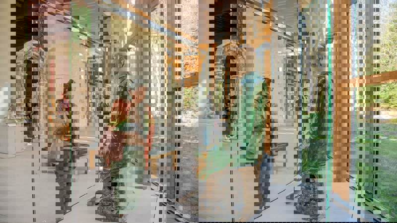 A person looks at a large seated statue in a glass case inside a modern museum with tall windows and wooden beams.