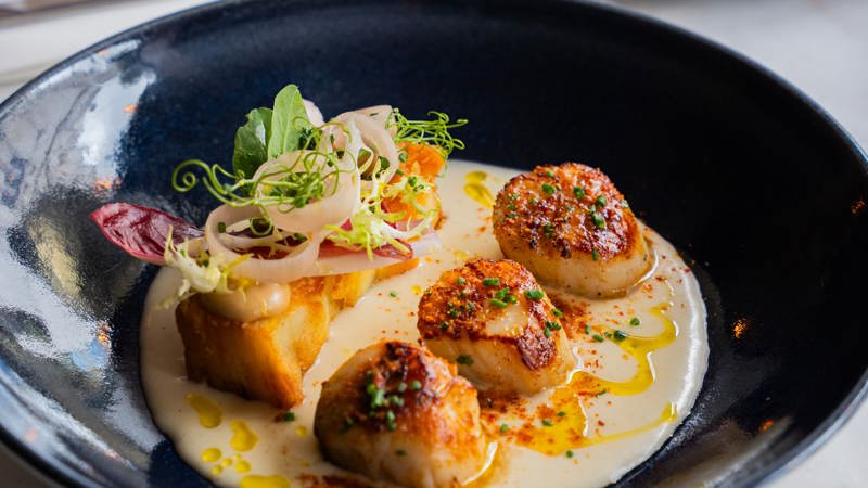 Close-up of three seared scallops and a potato cube in a creamy sauce in a dark blue bowl.
